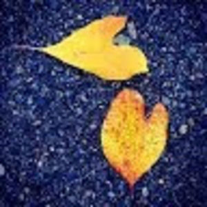 Meet your Posher, Pam